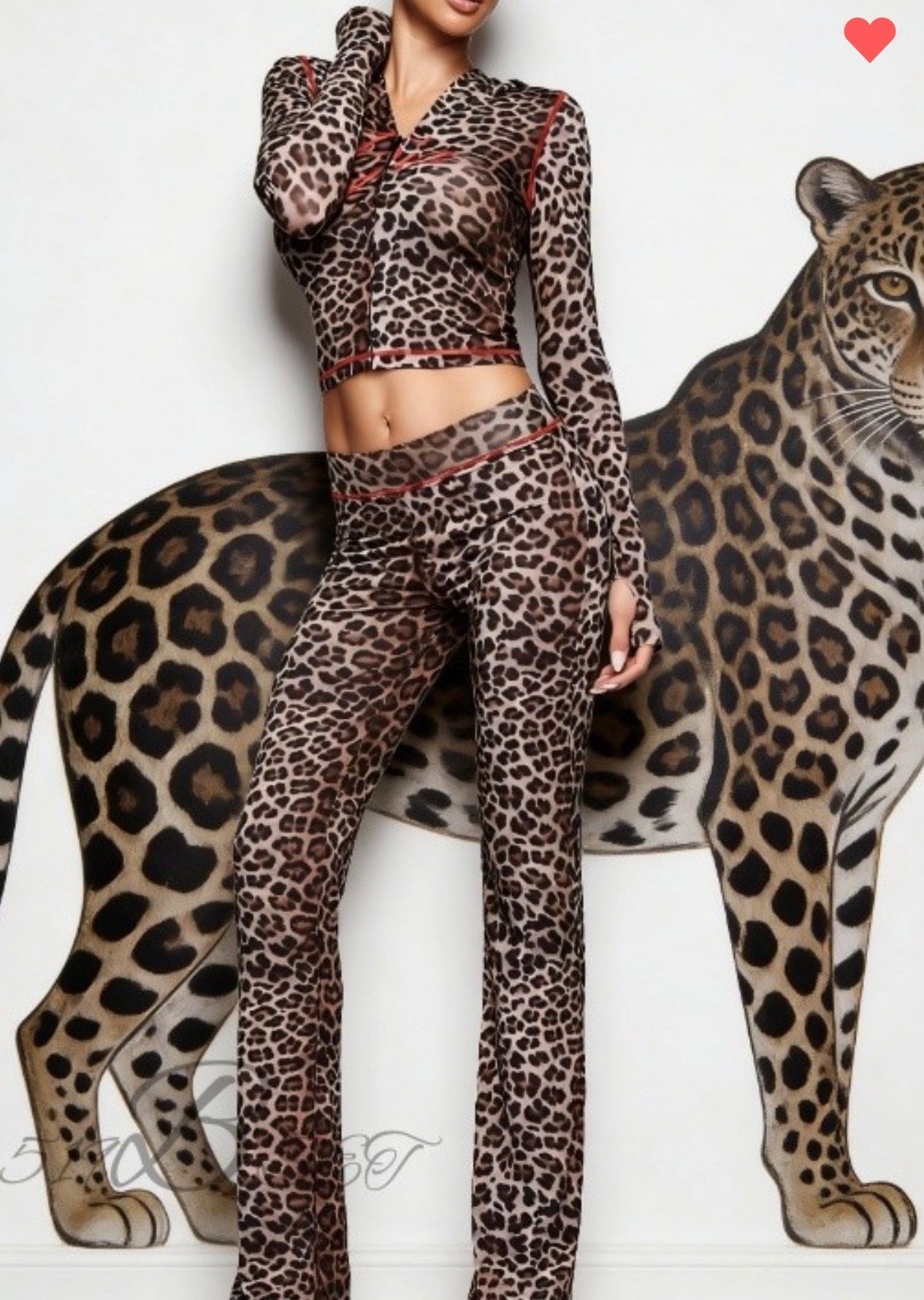 Cheetah print Gia set